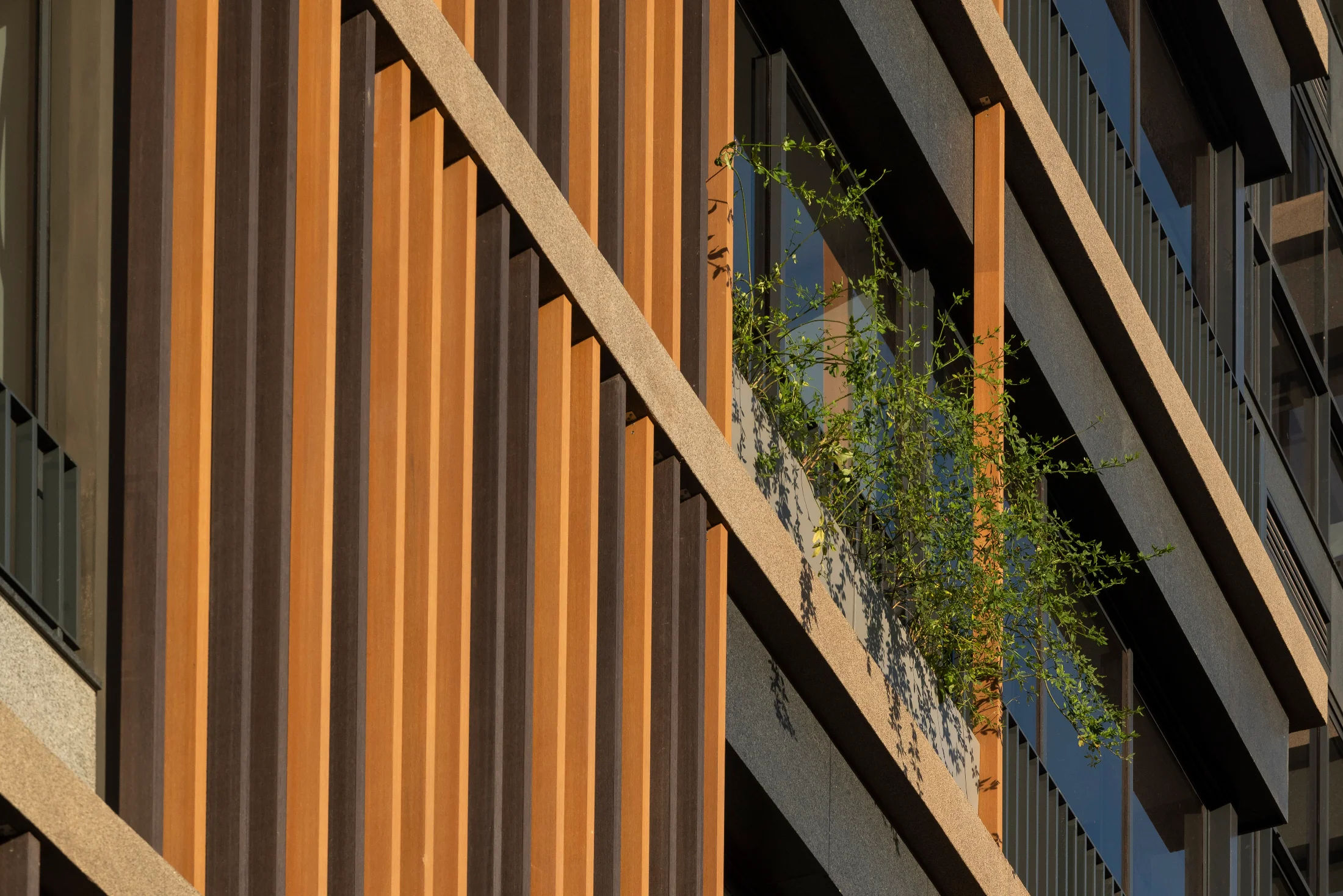 Building facade with vertical brises in Lesco ecological wood.